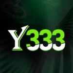 Y333 Game